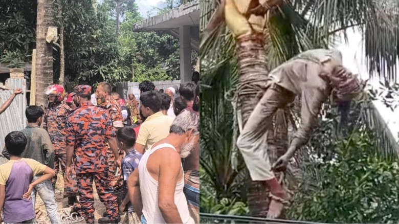 নাঙ্গলকোটে গাছের ডাল কাটতে গিয়ে বিদ্যুৎস্পৃষ্টে শ্...