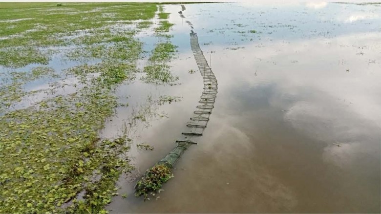 বুড়িচংয়ে প্রাণঘাতী চায়না দুয়ারি জালের দাপট