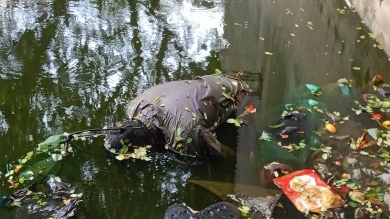 ব্রাহ্মণপাড়ায় পুকুর থেকে অজ্ঞাত ব্যক্তির লাশ উদ্ধার