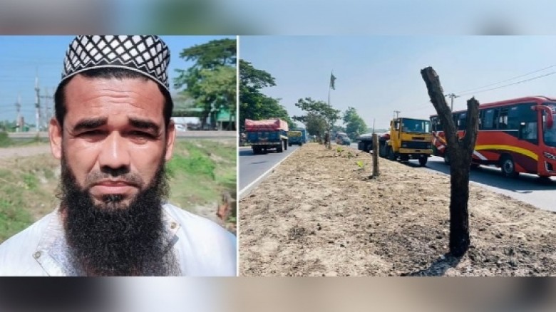 কুমিল্লায় মহাসড়কের অর্ধশত বকুলগাছ কাটা সেই ব্যক্তি...