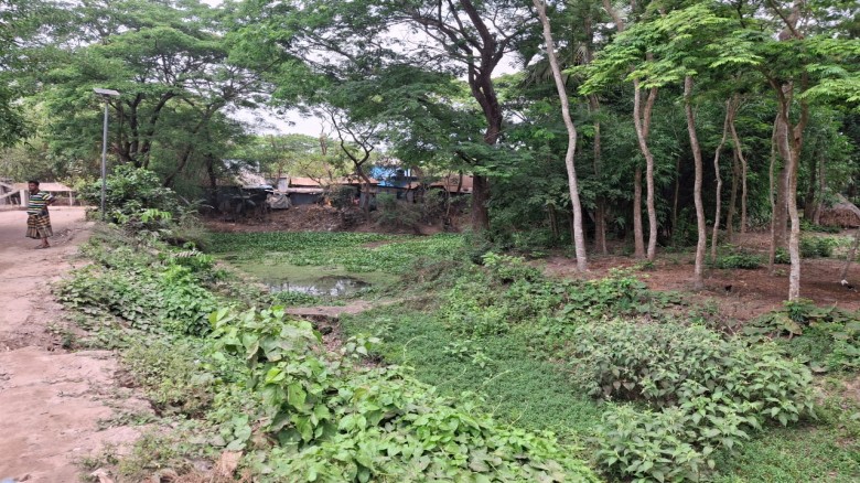 দেবিদ্বারে খাল দখলে বন্ধ পানি চলাচল, বিপ