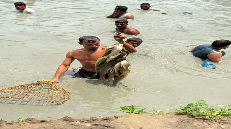 কুমিল্লা নগরীর নোয়াপাড়ায় পলো দিয়ে মাছ ধরার উৎসব