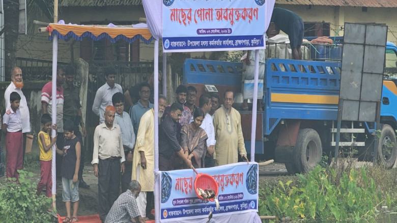 ব্রাহ্মণপাড়ায় প্রাতিষ্ঠানিক ও অভ্যন্তরীণ জলাশয়ে ৩৩৪ কেজি কার্প মাছের পোনা অবমুক্ত