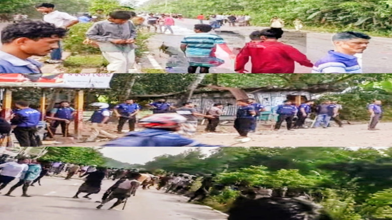 নাঙ্গলকোট ও মনোহরগঞ্জের দু'গ্রামবাসীর সং