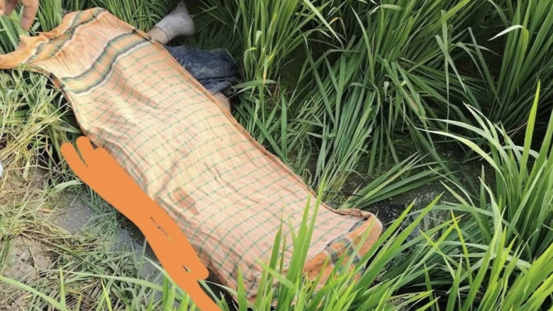 লালমাইয়ে ধান ক্ষেত থেকে স্কুল শিক্ষার্থী